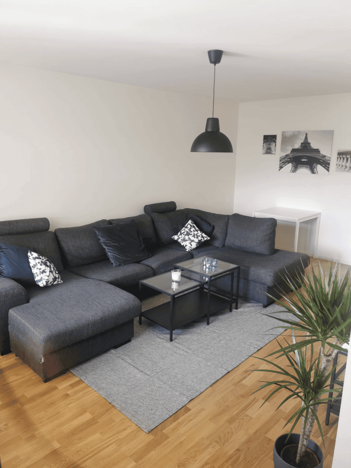 Living room with a big grey couch